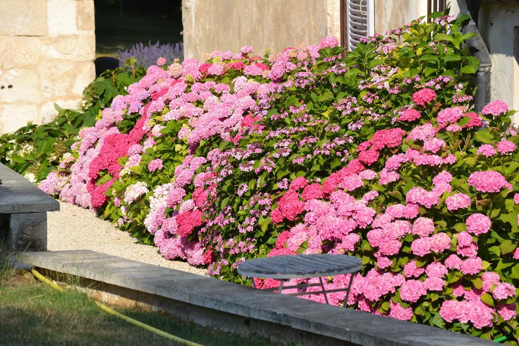 La Maison Du Potager De Mazieres Sainte-Solange Exteriör bild